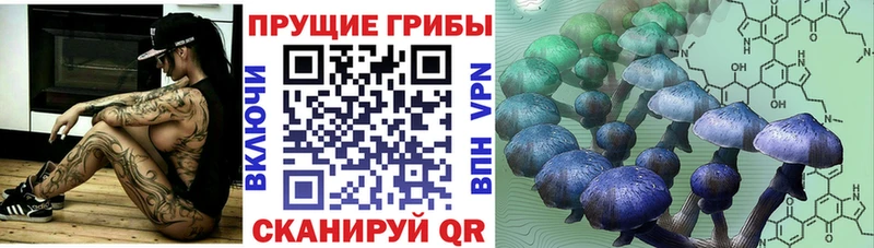 Купить закладки  Калуга  Галлюциногенные грибы Cubensis 